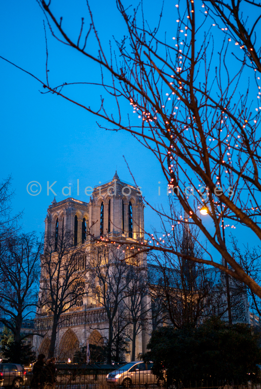 Cathedrals;Catholics;Christianity;Kaleidos;Kaleidos images;Notre-Dame-de-Paris;Paris;Places of worship;Tarek Charara;Winter